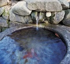 Professional lawn care service experts serving Redding, CA - Chase Designs Landscape