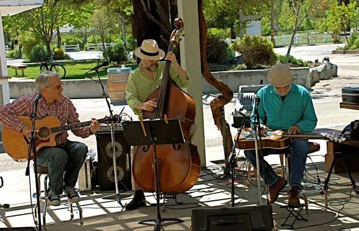 Reliable garden landscaping for year-round maintenance in Redding, CA by Chase Designs Landscape