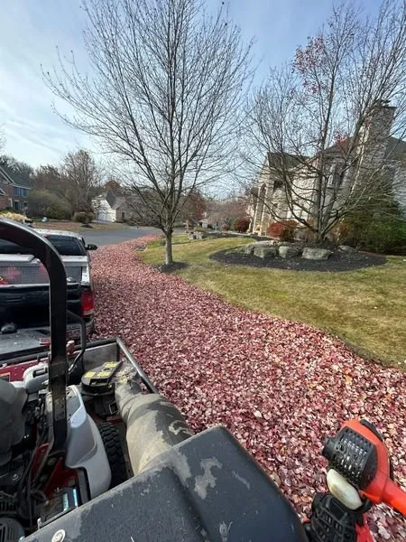 Professional outdoor landscaping experts serving Allentown, PA - Chase Outdoor Services