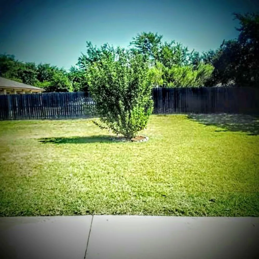 Expert landscaping services for beautiful yards across Killeen, TX - Chase Tha Bag Lawncare And Landscape