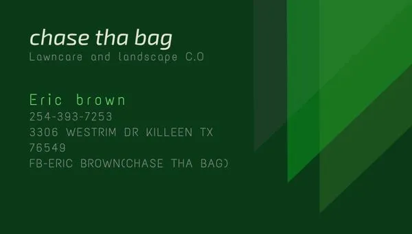 Chase Tha Bag Lawncare And Landscape Logo