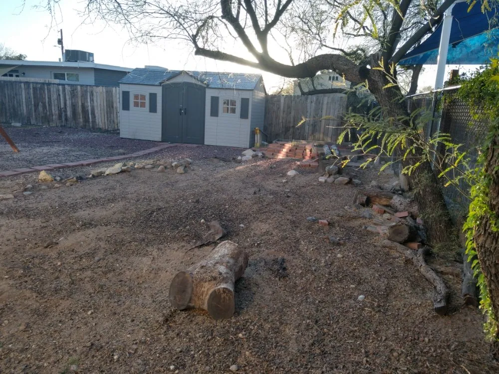 Professional landscape installation in Tucson, AZ by Chasens Yard Maintenance and Services