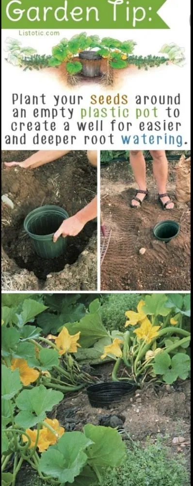 Affordable landscape installation with custom design in Tucson, AZ by Chasens Yard Maintenance and Services