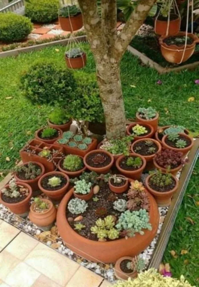 Reliable lawn care service in Tucson, AZ by Chasens Yard Maintenance and Services