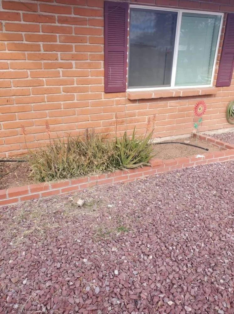 Custom landscape design for residential properties in Tucson, AZ by Chasens Yard Maintenance and Services