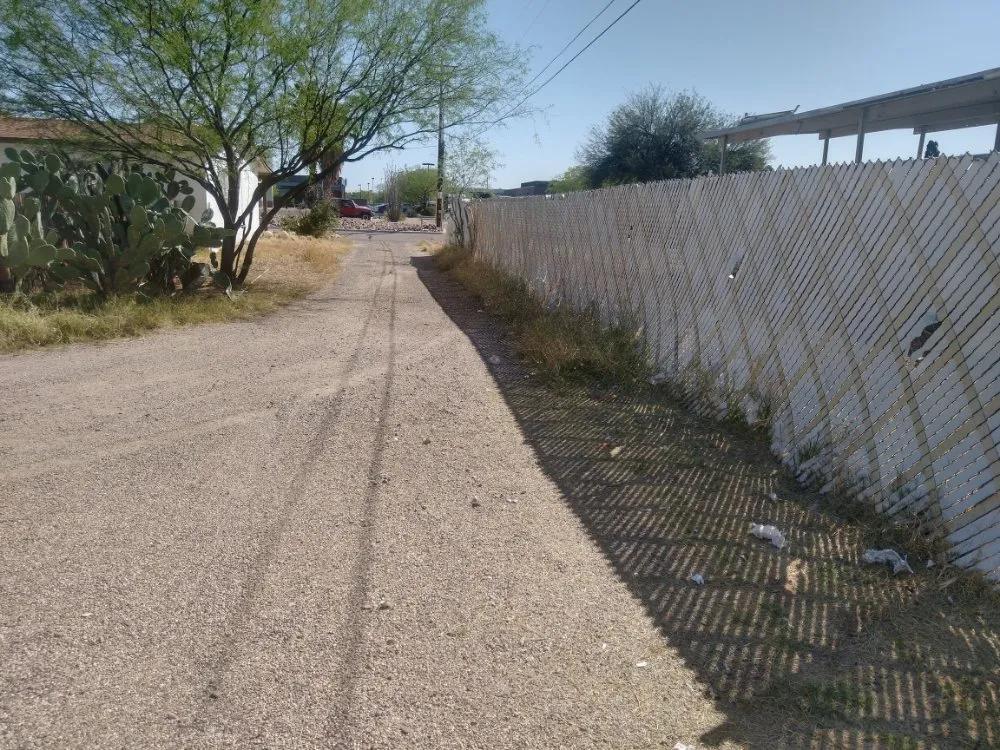 Custom landscape design for year-round maintenance across Tucson, AZ - Chasens Yard Maintenance and Services