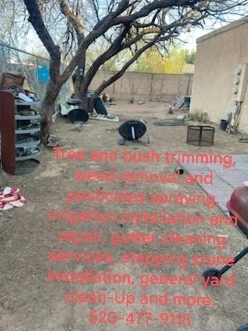 Trusted yard maintenance for year-round maintenance in Tucson, AZ by Chasens Yard Maintenance and Services