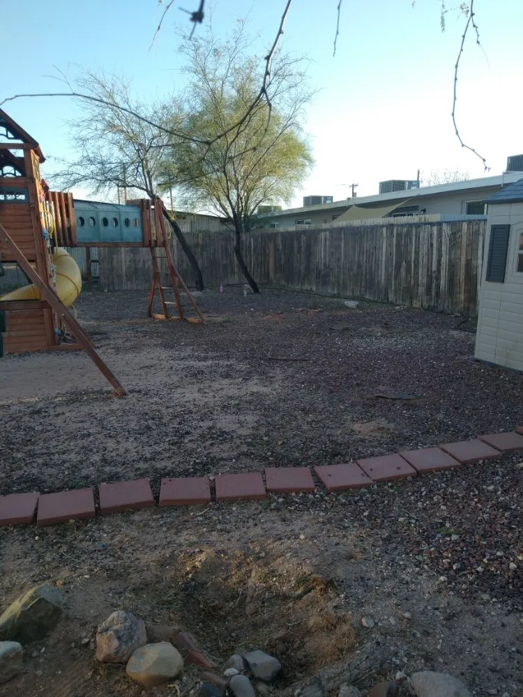 Trusted yard cleanup service in Tucson, AZ - Chasens Yard Maintenance and Services