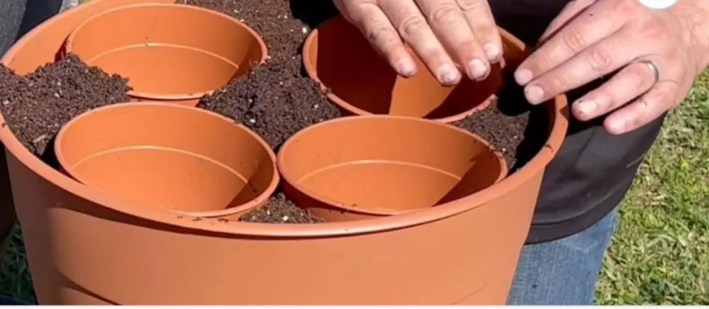 Top-rated landscape design in Tucson, AZ by Chasens Yard Maintenance and Services