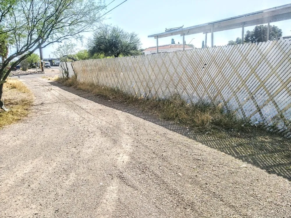 Reliable residential landscaping for homes across Tucson, AZ - Chasens Yard Maintenance and Services