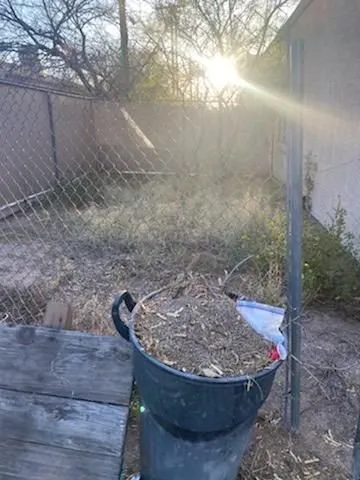 Trusted yard cleanup service experts serving Tucson, AZ - Chasens Yard Maintenance and Services