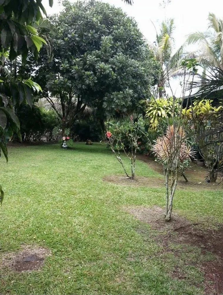 Top-rated lawn mowing service for beautiful yards across Keaau, HI - Chasen’s Yard Maintenance