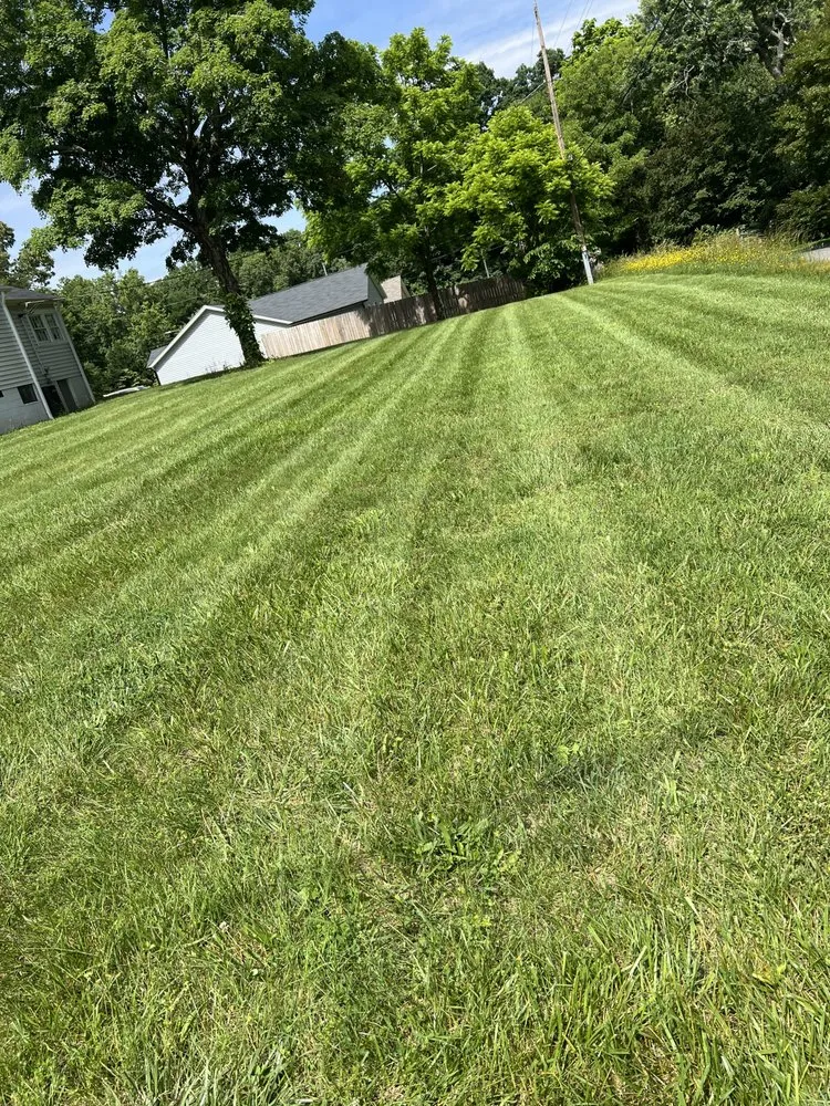 Expert landscaping services for residential properties in Concord, NC by Chases Lawn Care