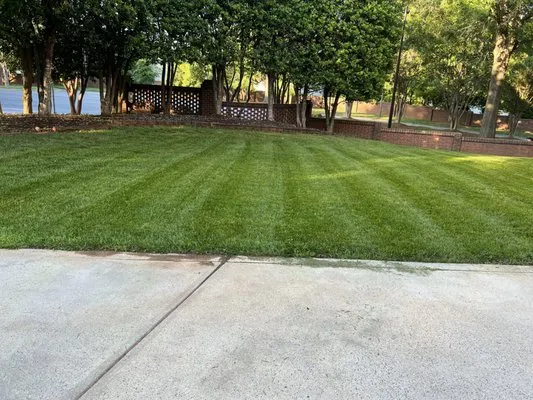 Chases Lawn Care Logo