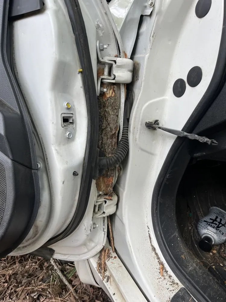 Reliable residential landscaping experts serving Thaxton, MS - Chases Lawn Care