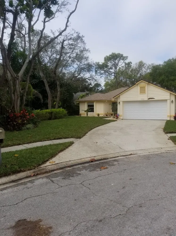 Top-rated garden landscaping experts serving Saint Petersburg, FL - Chase's Lawn Service