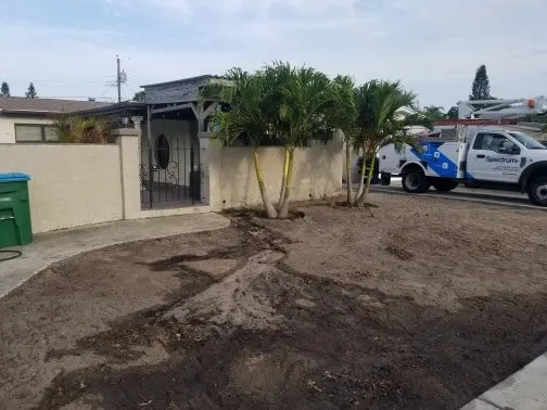 Top-rated lawn care service for beautiful yards in Saint Petersburg, FL by Chase's Lawn Service