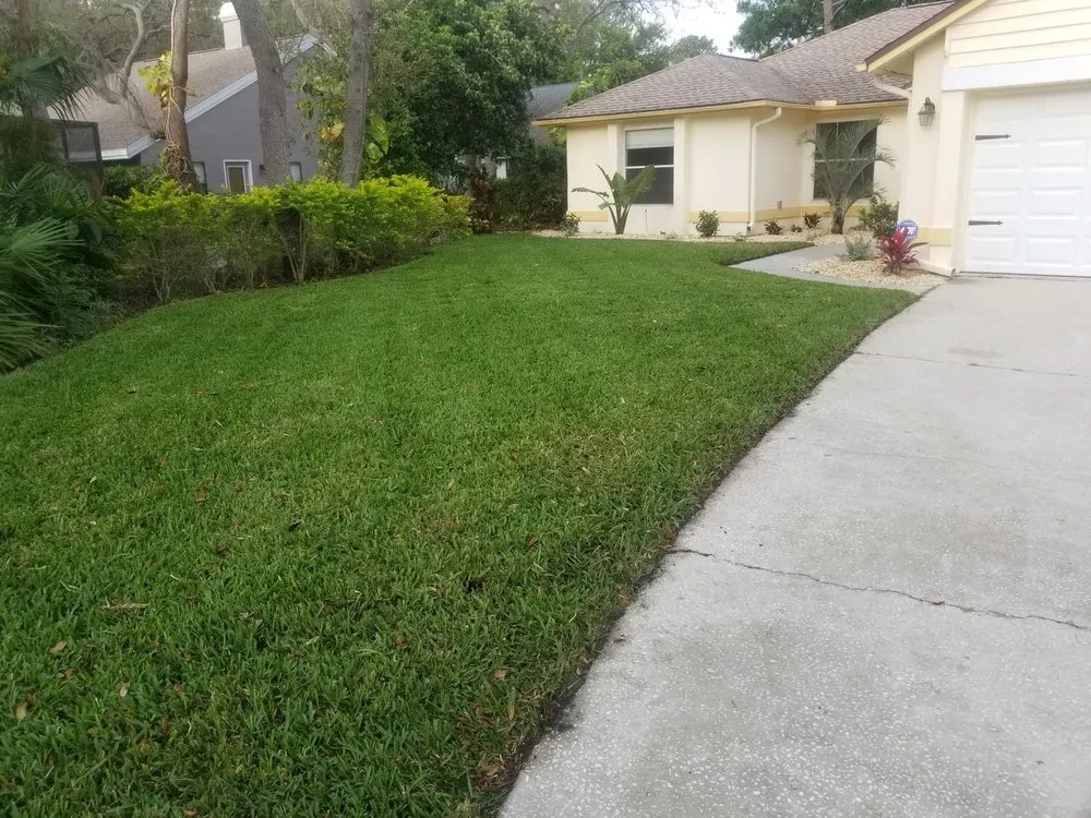 Local landscape installation in Saint Petersburg, FL - Chase's Lawn Service