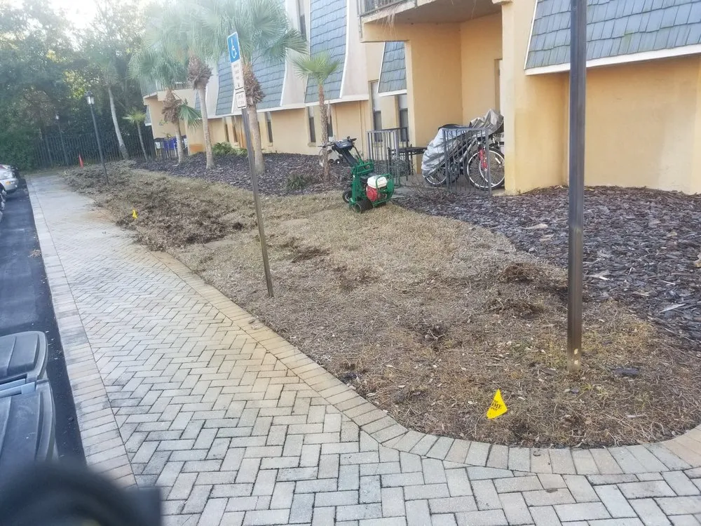 Professional residential landscaping for residential properties in Saint Petersburg, FL by Chase's Lawn Service