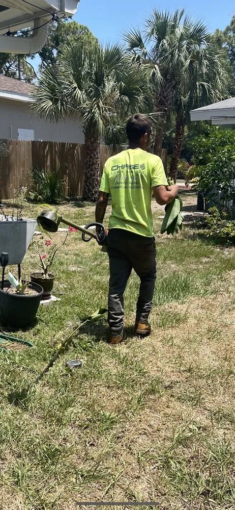 Professional residential landscaping for residential properties across Saint Petersburg, FL - Chase's Lawn Service