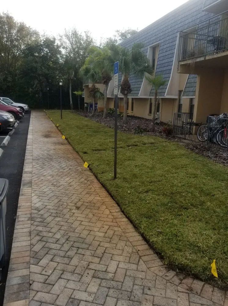 Professional yard maintenance in Saint Petersburg, FL - Chase's Lawn Service