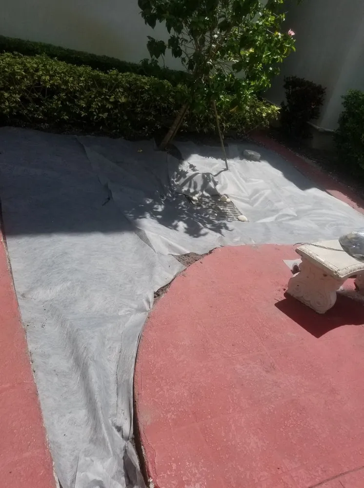 Top-rated yard cleanup service in Saint Petersburg, FL - Chase's Lawn Service