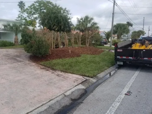 Affordable landscaping services for homes across Saint Petersburg, FL - Chase's Lawn Service