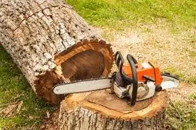 Reliable garden landscaping in Montpelier, VA by Chases Tree Service
