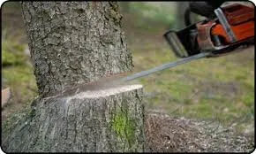 Reliable lawn care service in Montpelier, VA - Chases Tree Service