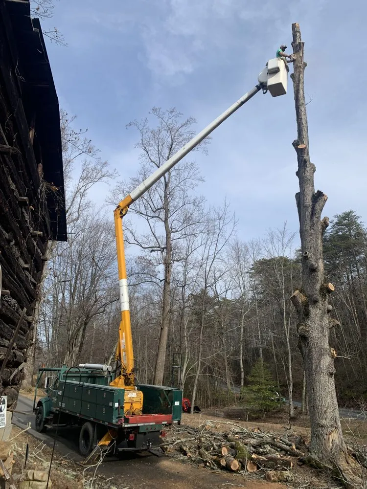 Expert lawn care service for residential properties in Mount Airy, NC by Chasin Green Lawncare & Tree Service