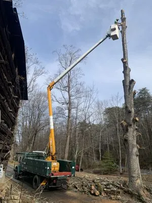 Chasin Green Lawncare & Tree Service