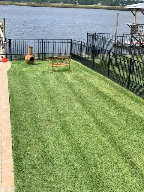 Expert yard cleanup service for beautiful yards across North Charleston, SC - Chasin’ Roots