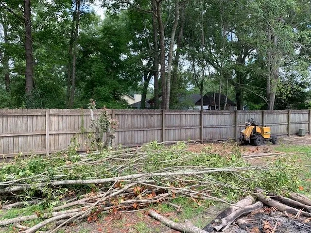 Expert yard cleanup service experts serving North Charleston, SC - Chasin’ Roots