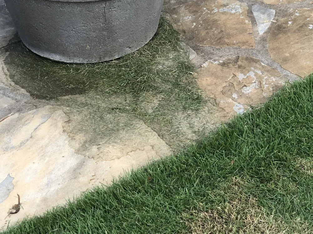 Trusted lawn care service in Marietta, GA - Chatham Landscape Services