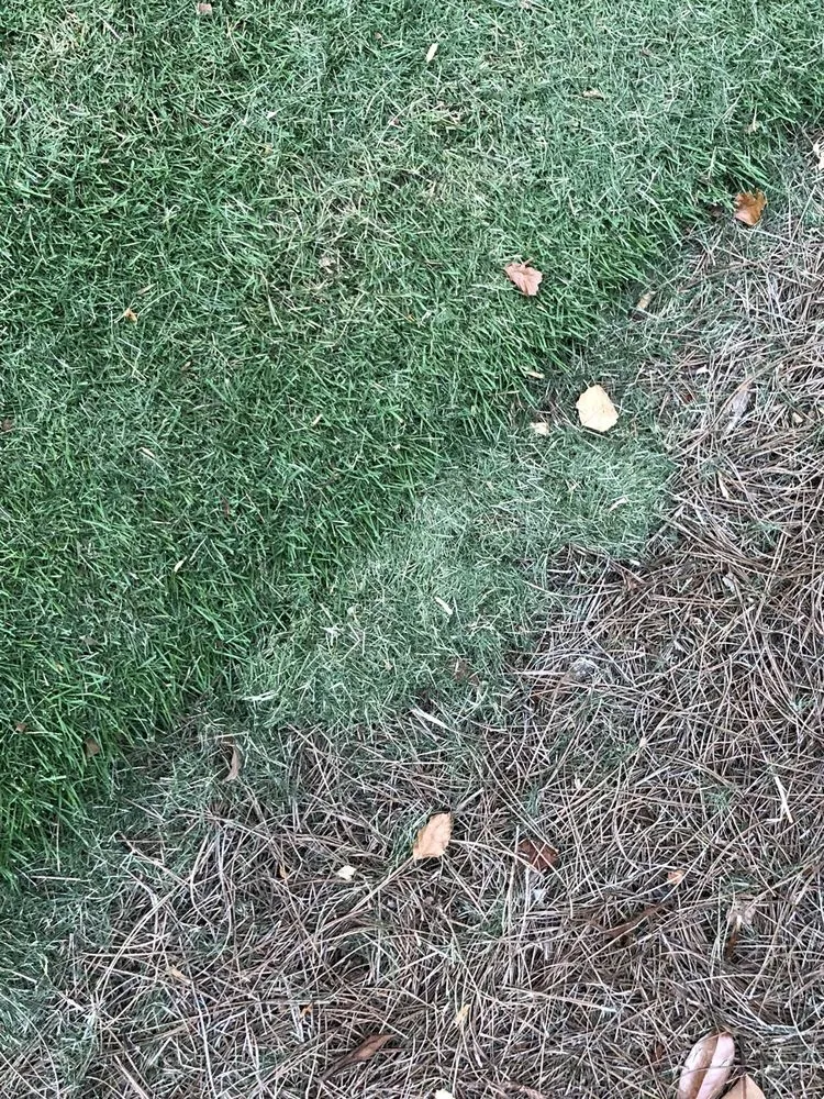 Affordable outdoor landscaping experts serving Marietta, GA - Chatham Landscape Services