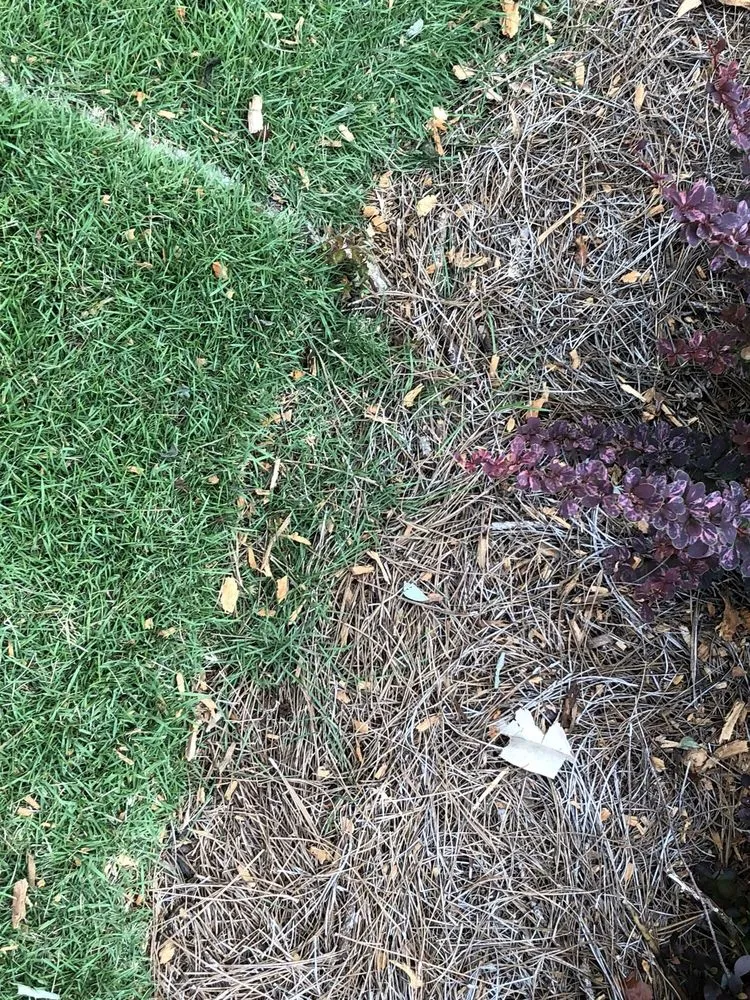 Reliable yard maintenance experts serving Marietta, GA - Chatham Landscape Services