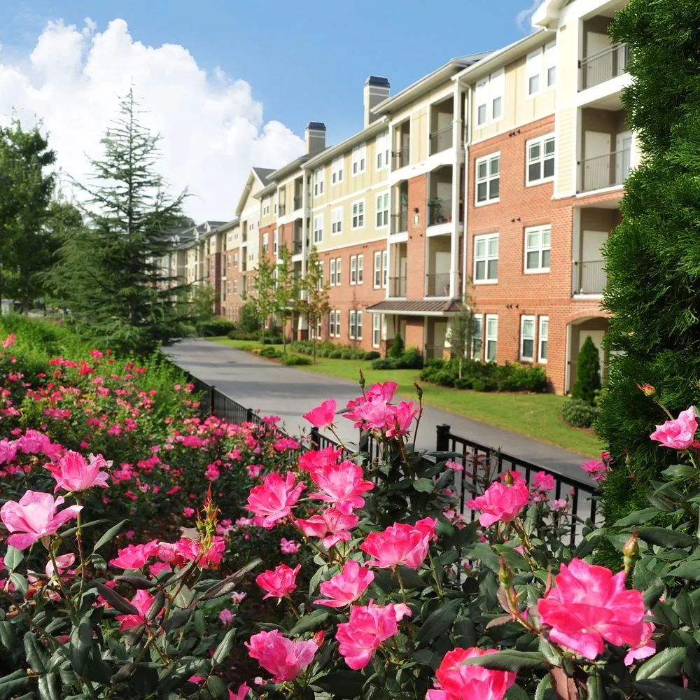 Expert landscaping services for beautiful yards across Marietta, GA - Chatham Landscape Services