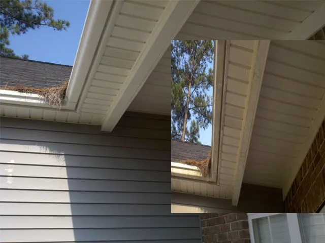 Expert yard maintenance experts serving Savannah, GA - Chatham Property Maintenance