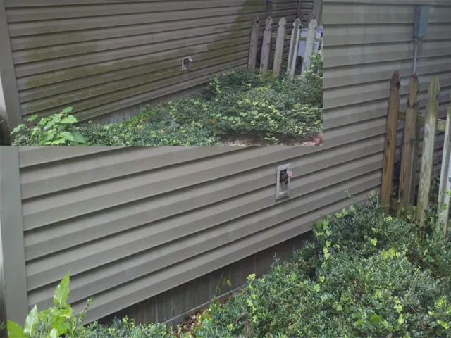 Trusted landscaping services in Savannah, GA by Chatham Property Maintenance