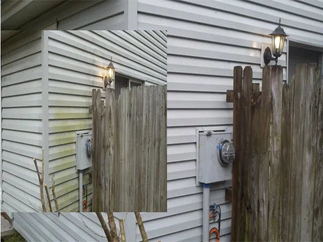 Professional landscape design in Savannah, GA by Chatham Property Maintenance