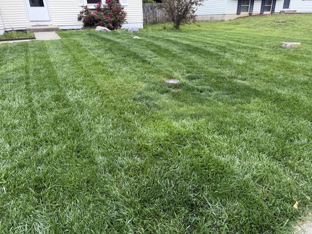 Custom yard cleanup service in Cincinnati, OH by Chatmon Lawn Care