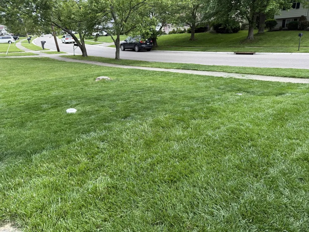 Top-rated landscape design in Cincinnati, OH - Chatmon Lawn Care