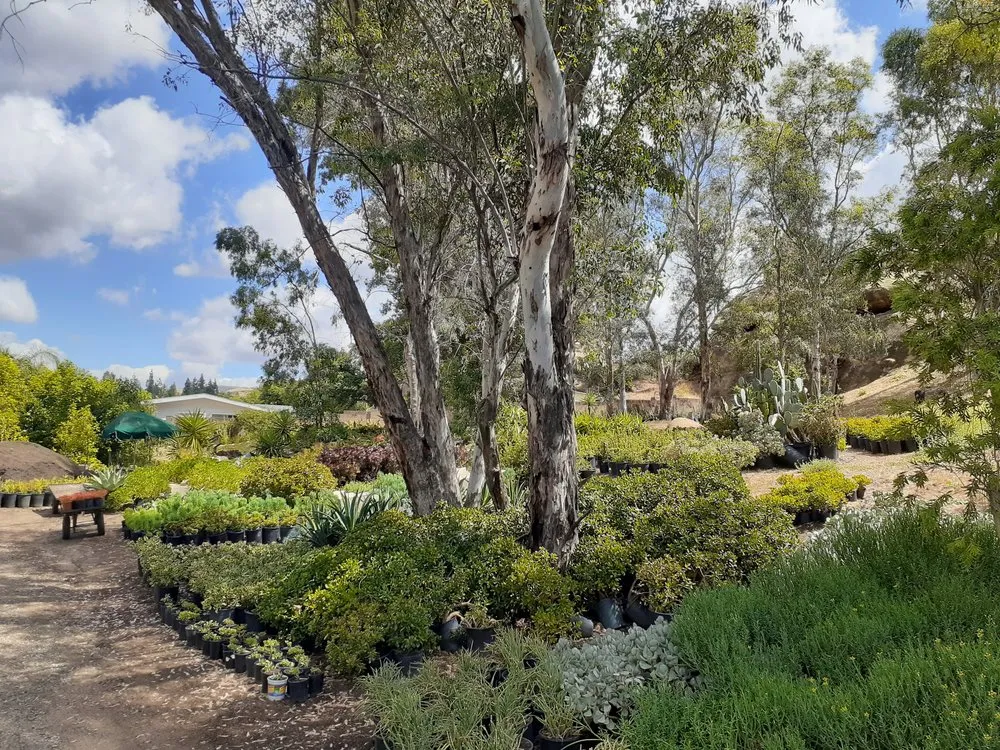 Custom landscaping services for homes across Chatsworth, CA - Chatsworth Nursery & Landscape