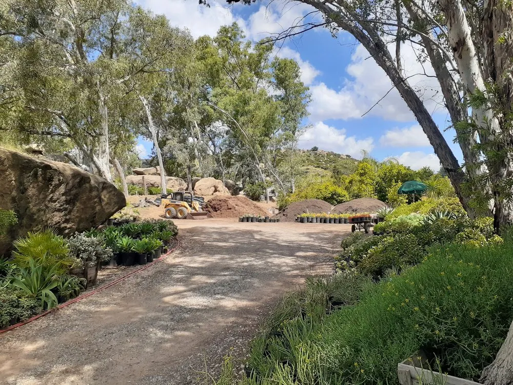 Top-rated yard cleanup service for year-round maintenance across Chatsworth, CA - Chatsworth Nursery & Landscape