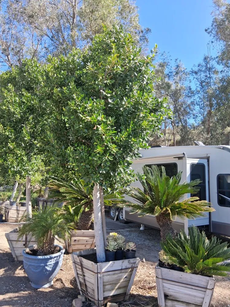 Affordable residential landscaping in Chatsworth, CA by Chatsworth Nursery & Landscape