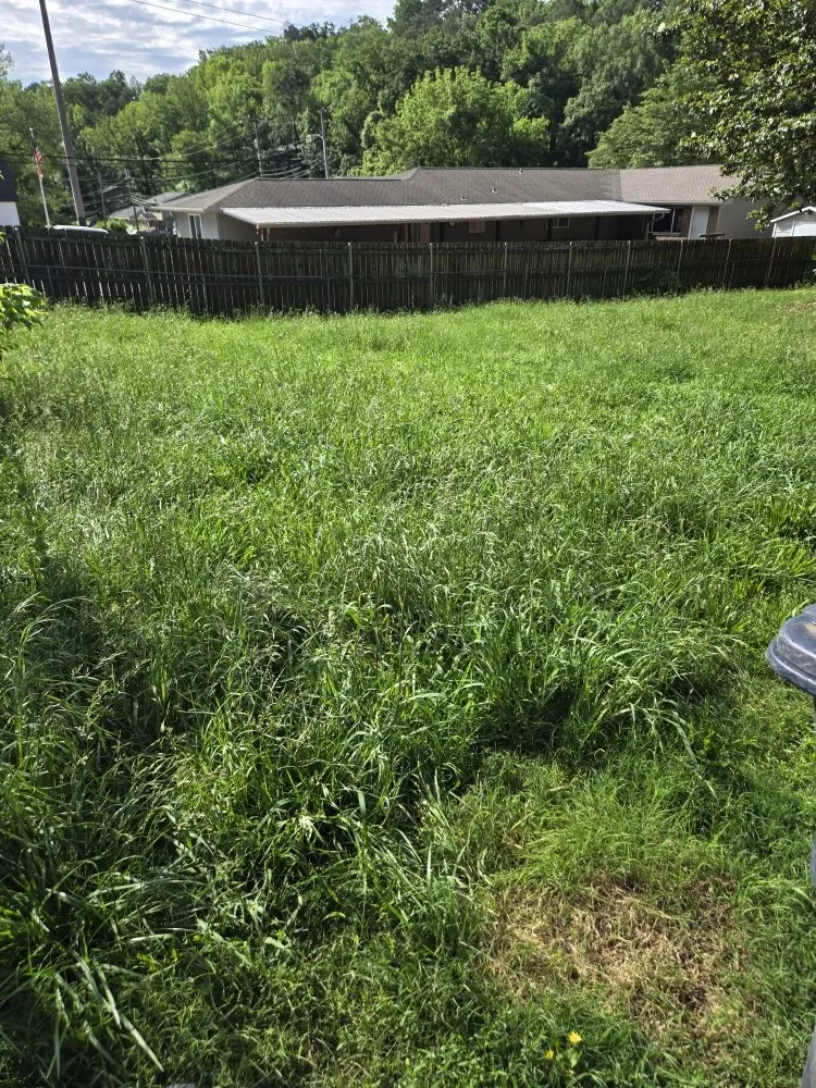 Top-rated landscape design for outdoor upgrades in Chattanooga, TN by Chatt Town Lawn Care