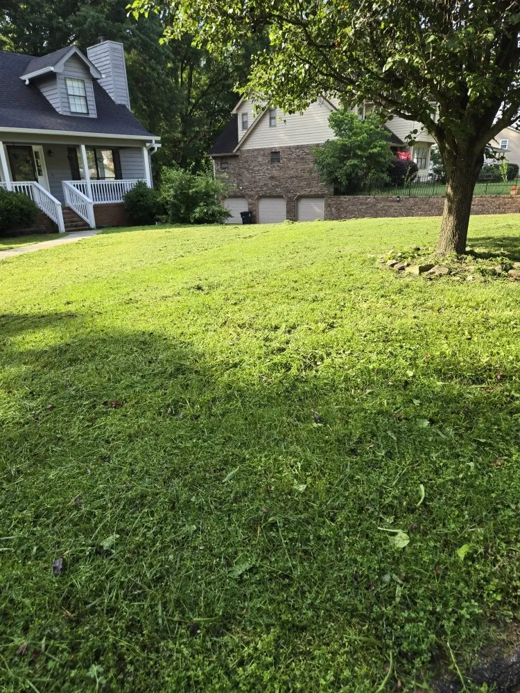 Professional garden landscaping in Chattanooga, TN - Chatt Town Lawn Care