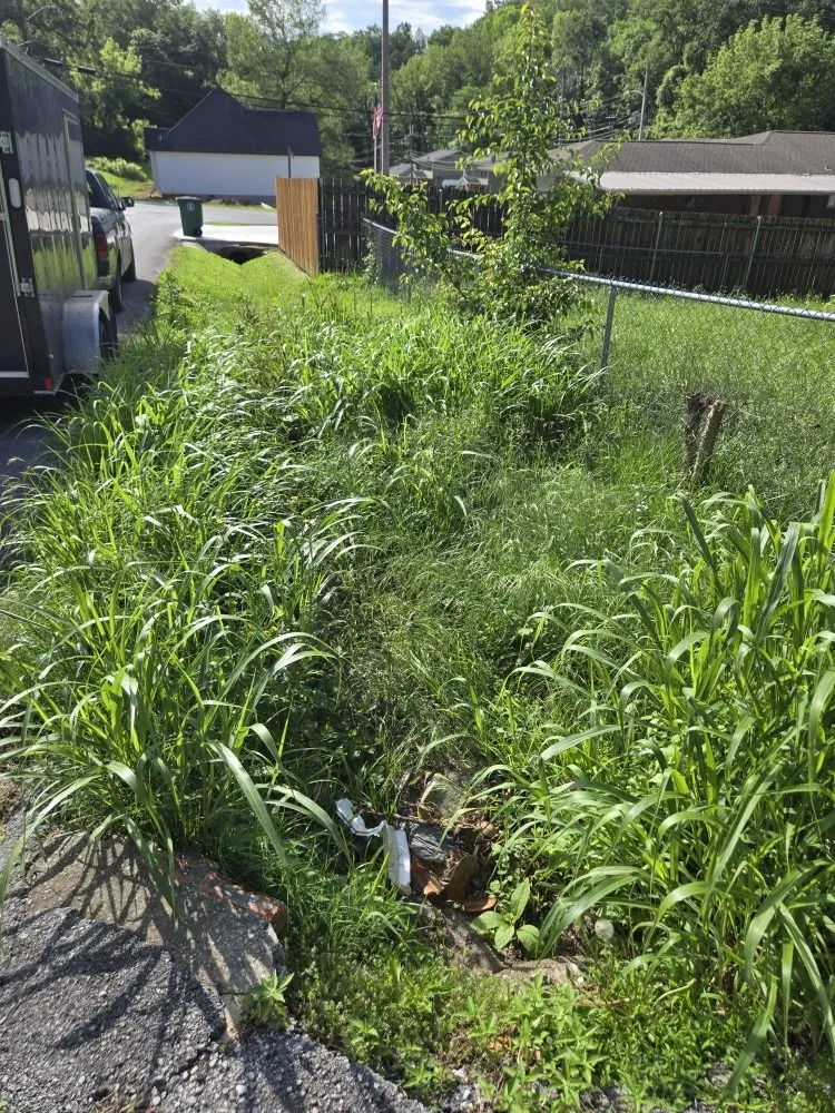 Reliable landscape installation in Chattanooga, TN by Chatt Town Lawn Care