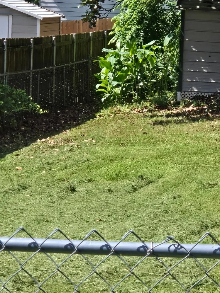 Expert yard cleanup service for beautiful yards across Chattanooga, TN - Chatt Town Lawn Care