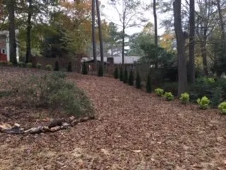 Top-rated landscaping services near you across Marietta, GA - Chattahoochee Home & Garden